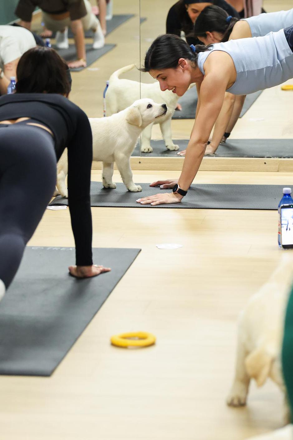  | Author: Emica Elvedji/PIXSELL